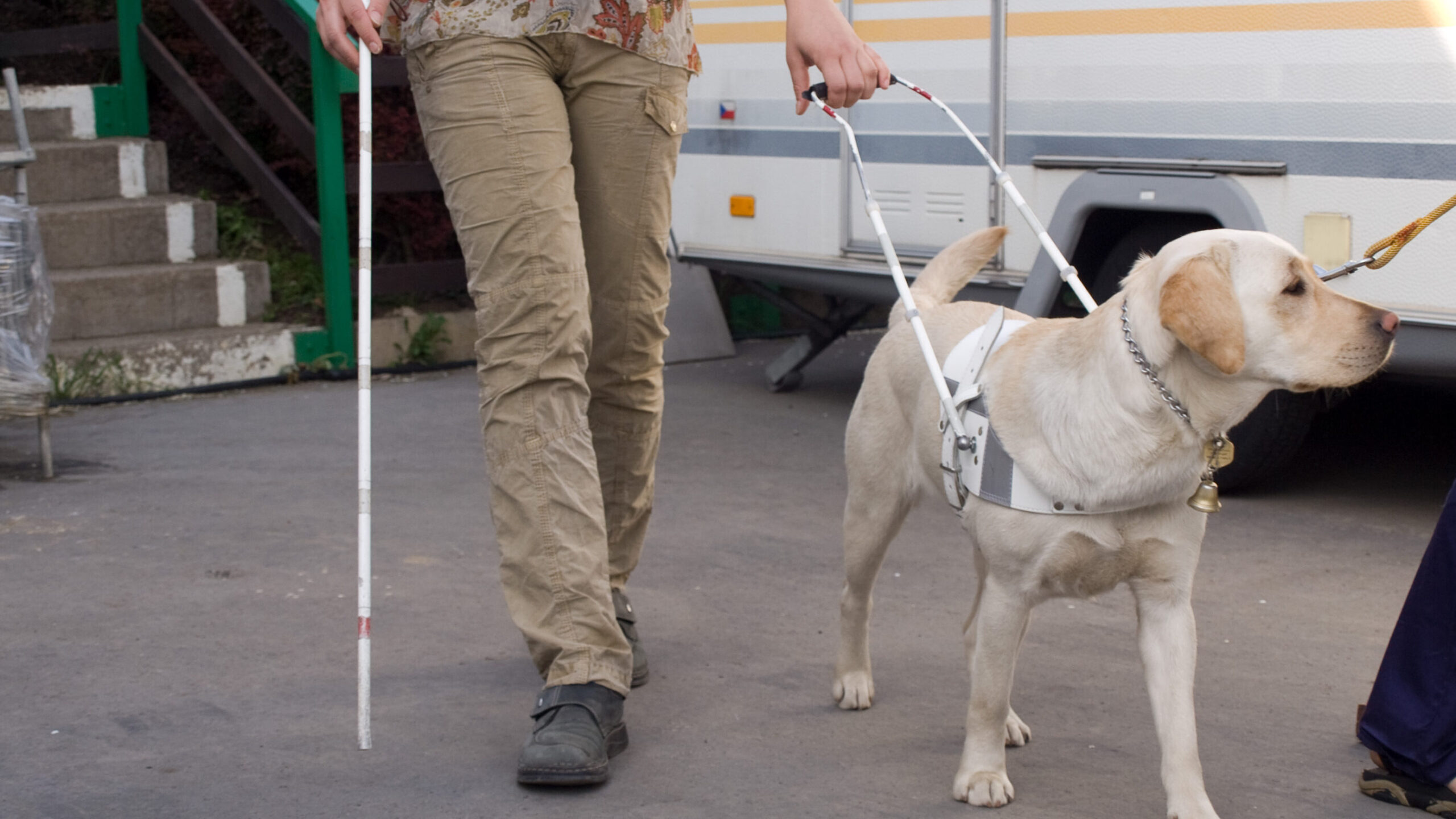 Blind woman with a guide dog (illustrative)