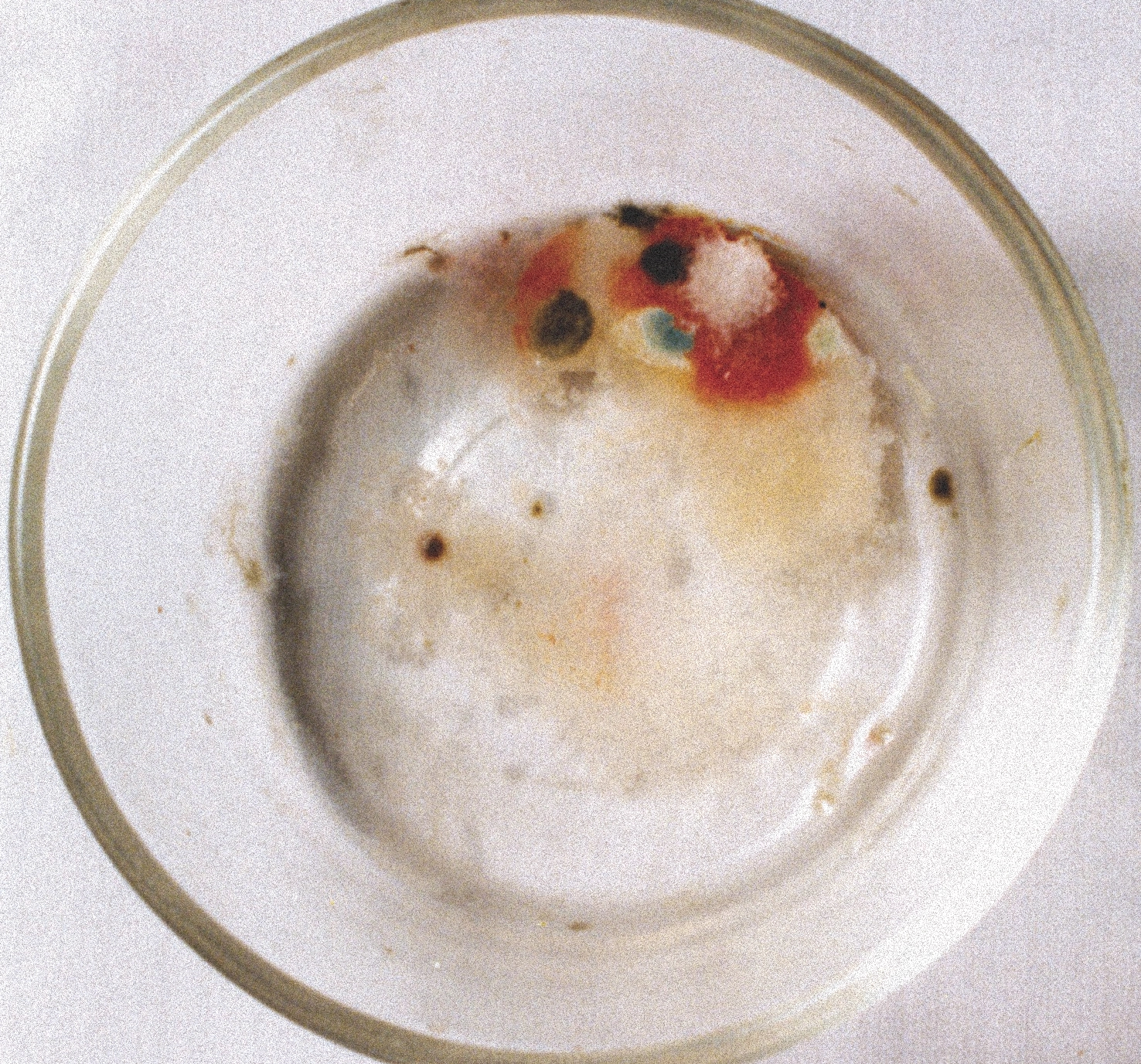Image 1 — the dish on August 26, 1996