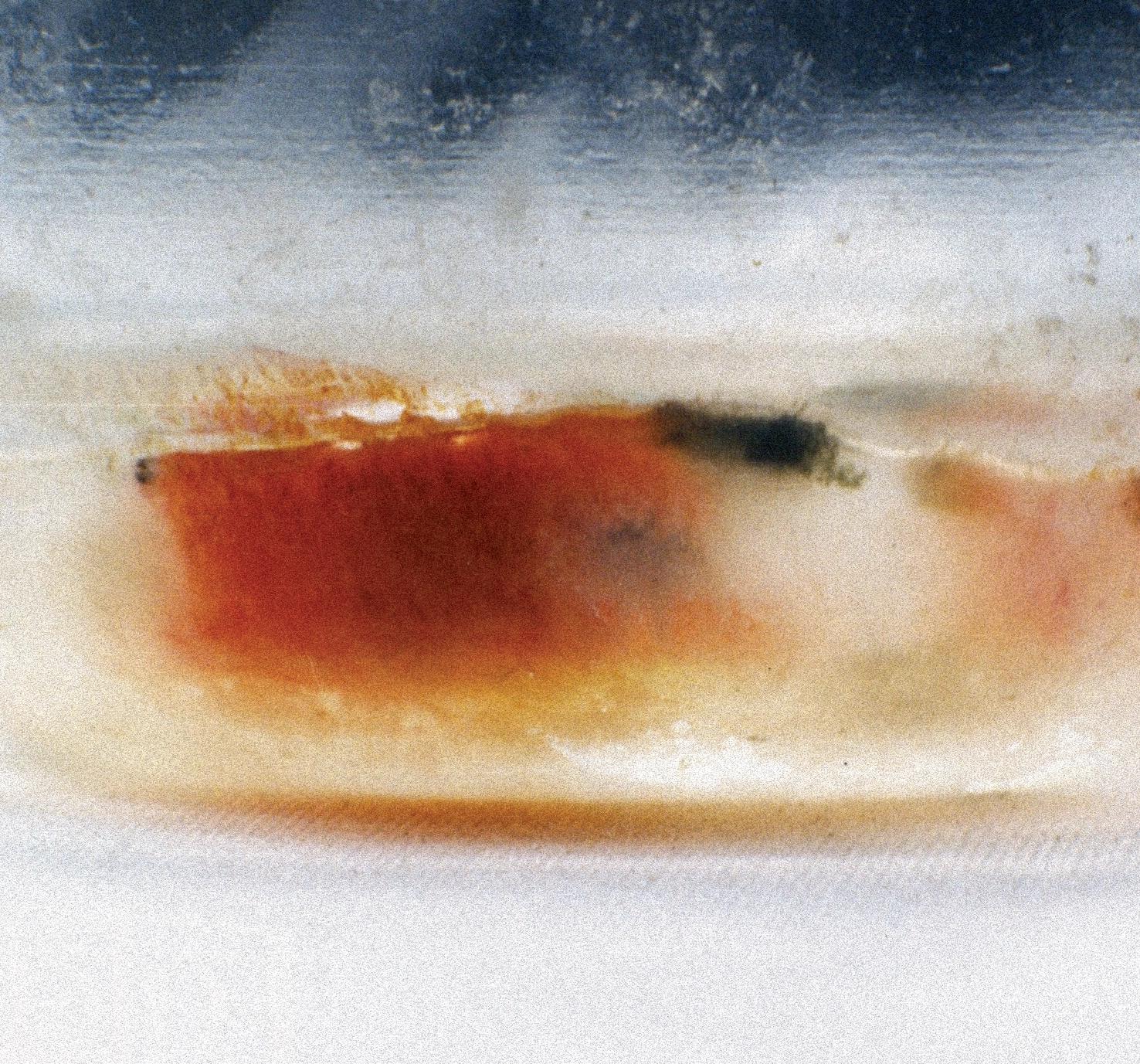 Image 2 — side view of the dish